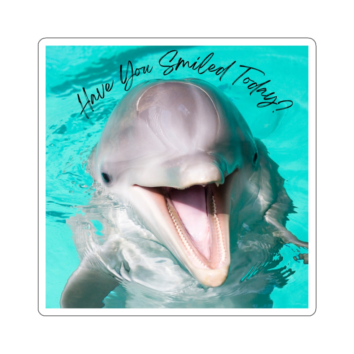 "Dolphin Smiled Today" Kiss-Cut Stickers