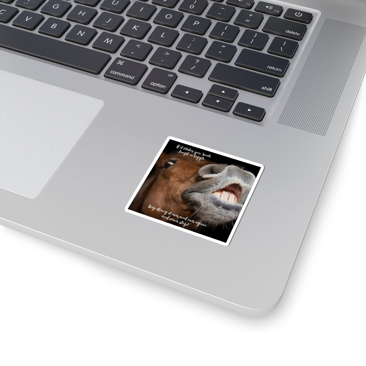 "Horse Smile, Laugh, Giggle" Kiss-Cut Stickers