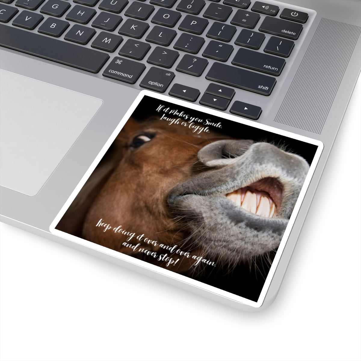 "Horse Smile, Laugh, Giggle" Kiss-Cut Stickers