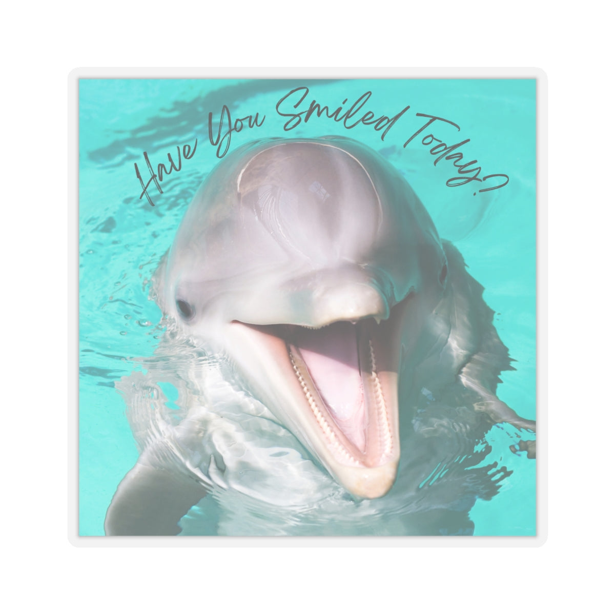 "Dolphin Smiled Today" Kiss-Cut Stickers
