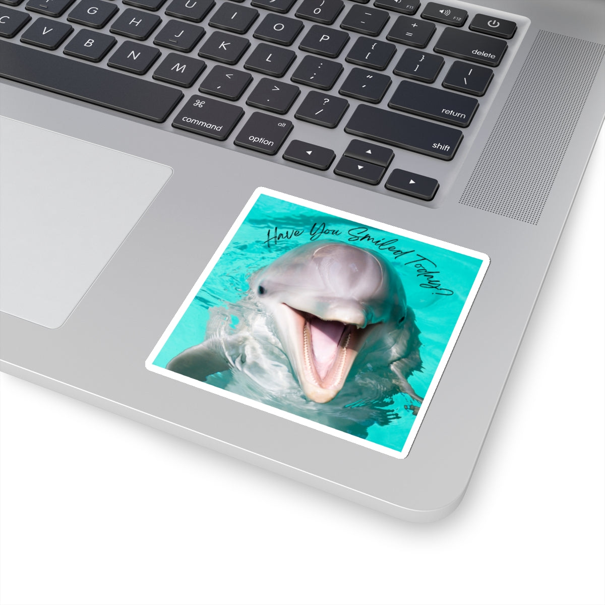 "Dolphin Smiled Today" Kiss-Cut Stickers