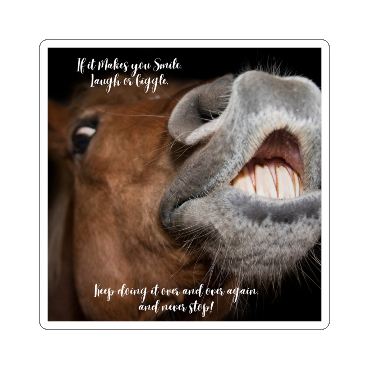 "Horse Smile, Laugh, Giggle" Kiss-Cut Stickers
