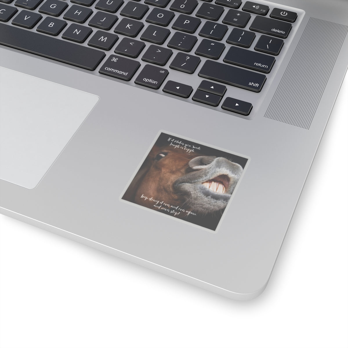 "Horse Smile, Laugh, Giggle" Kiss-Cut Stickers
