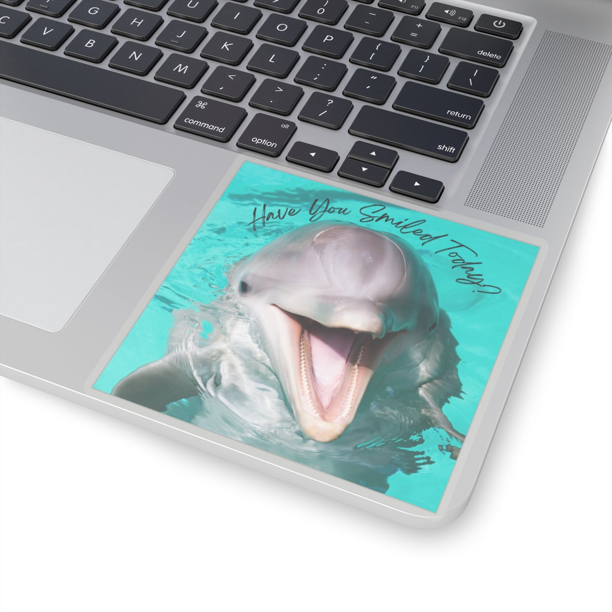 "Dolphin Smiled Today" Kiss-Cut Stickers