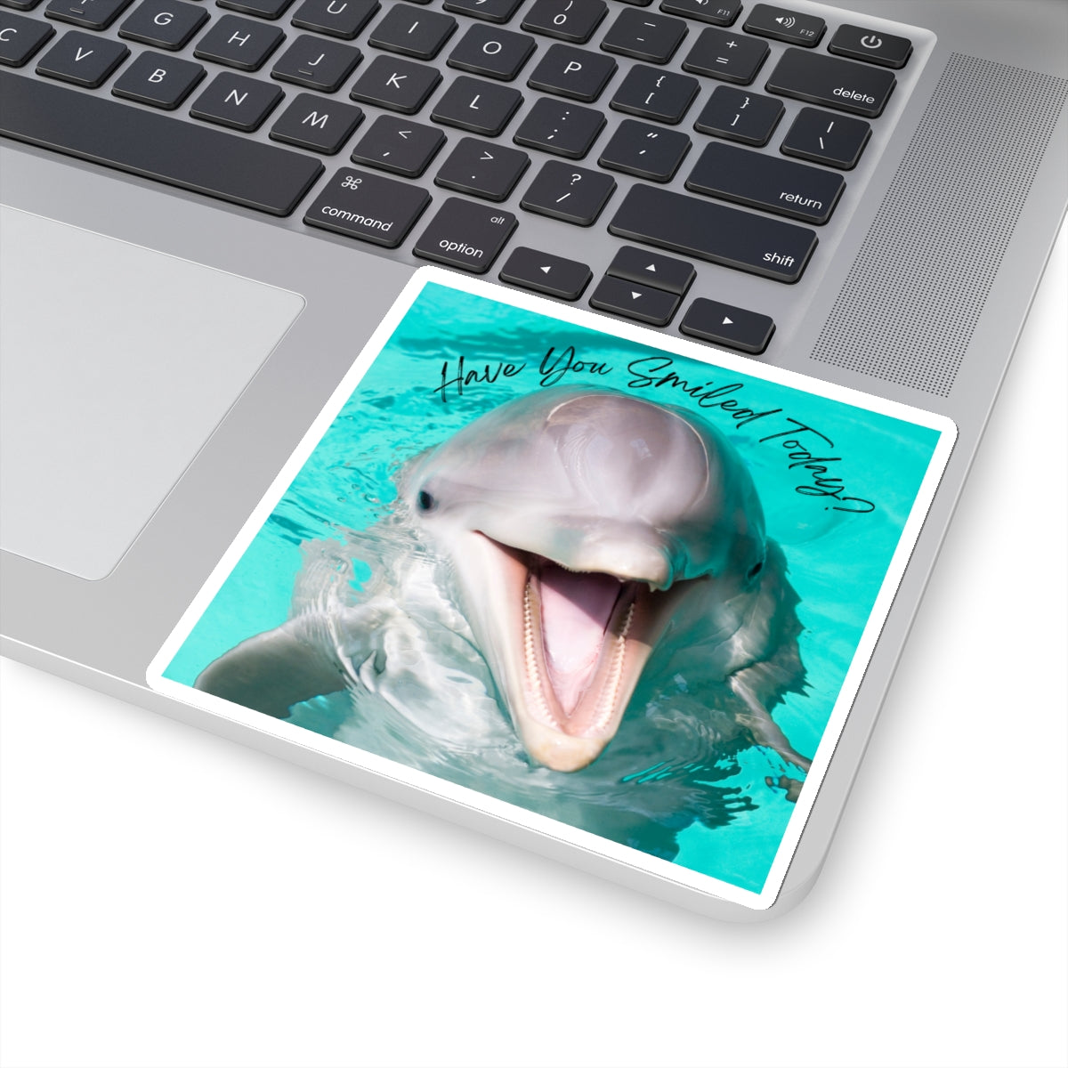 "Dolphin Smiled Today" Kiss-Cut Stickers
