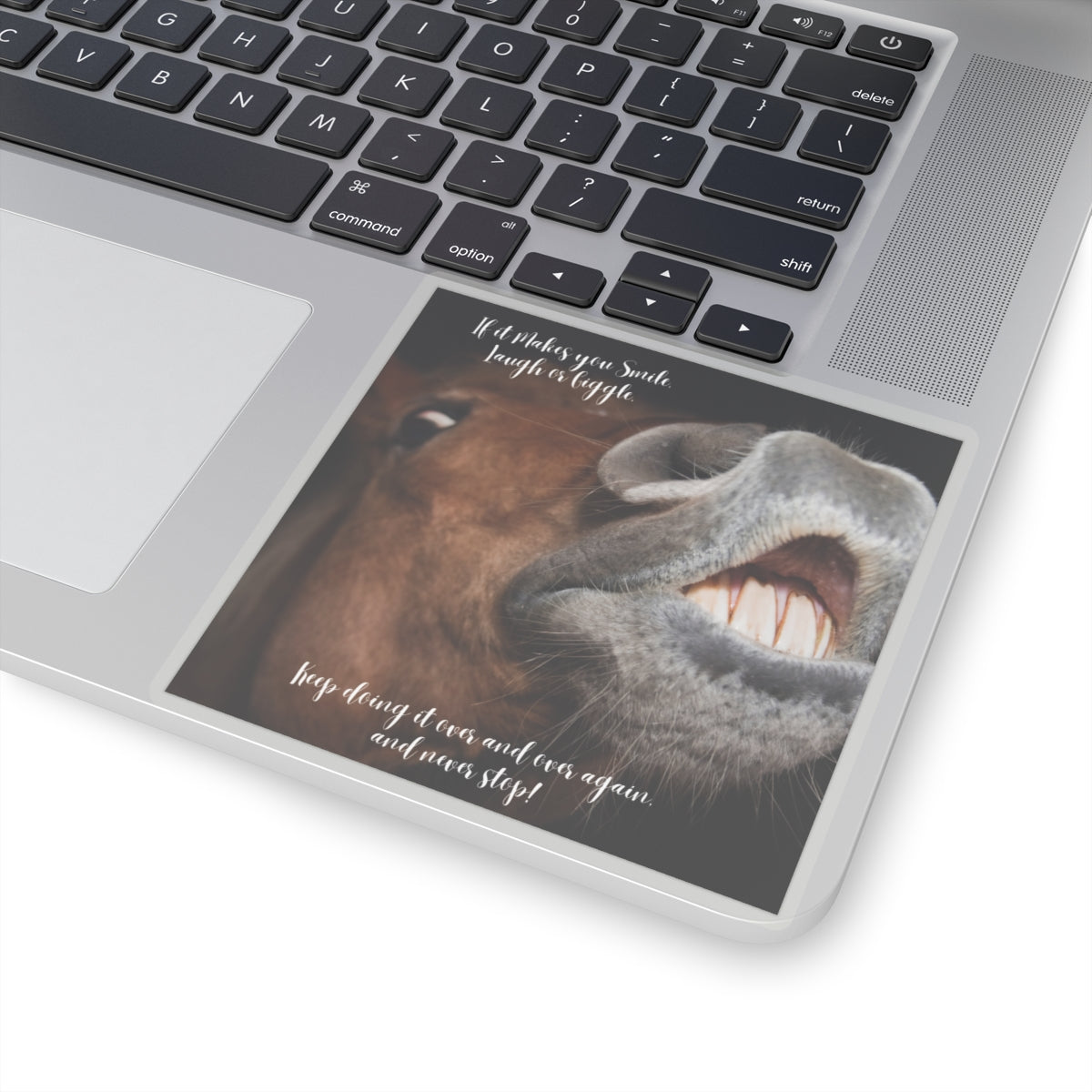 "Horse Smile, Laugh, Giggle" Kiss-Cut Stickers