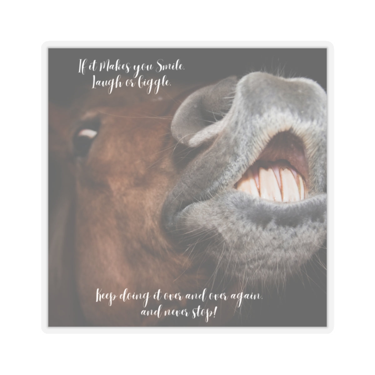 "Horse Smile, Laugh, Giggle" Kiss-Cut Stickers