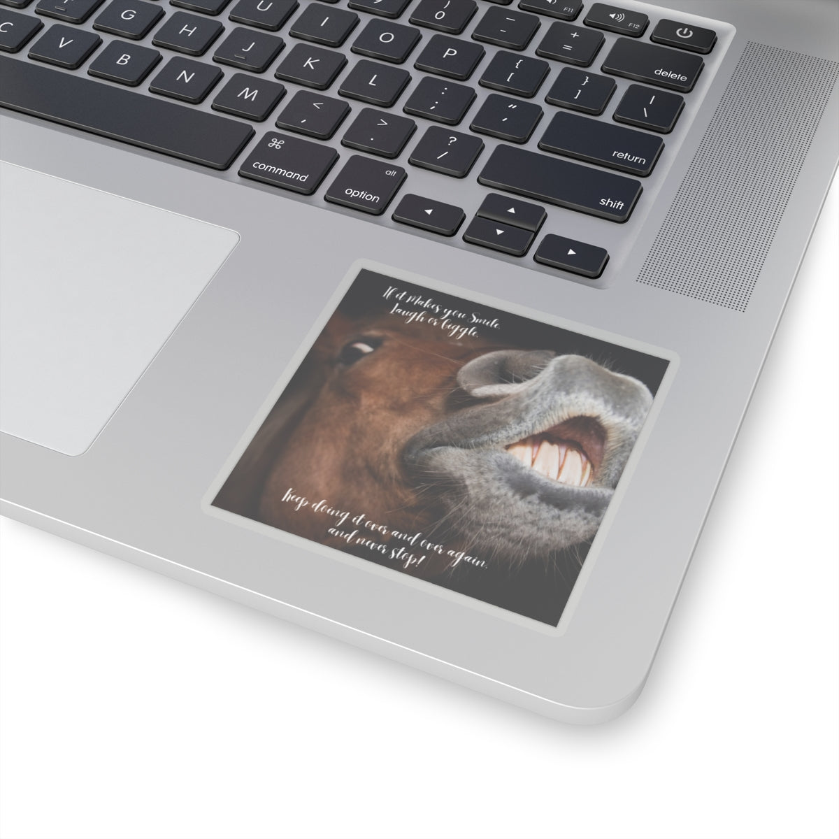 "Horse Smile, Laugh, Giggle" Kiss-Cut Stickers
